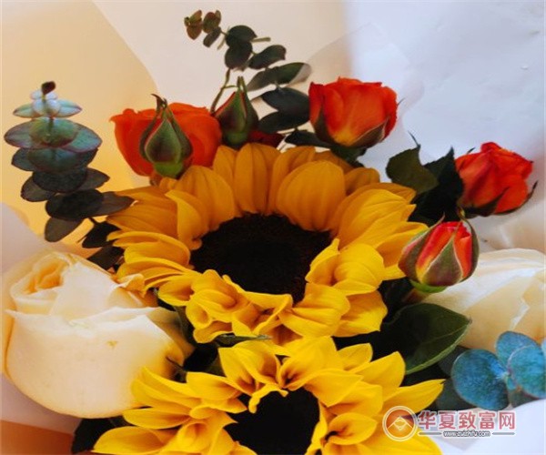 花小蕾鲜花店加盟